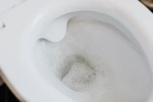 Toilet water running