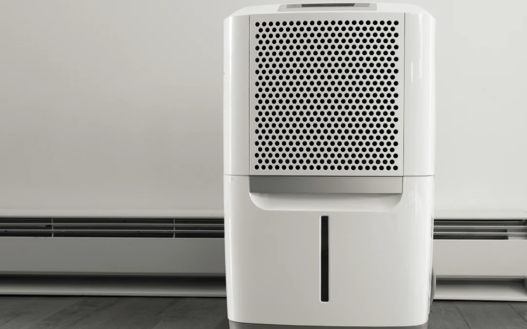 Basement Humidifier vs. Dehumidifier: Which One Do You Need?