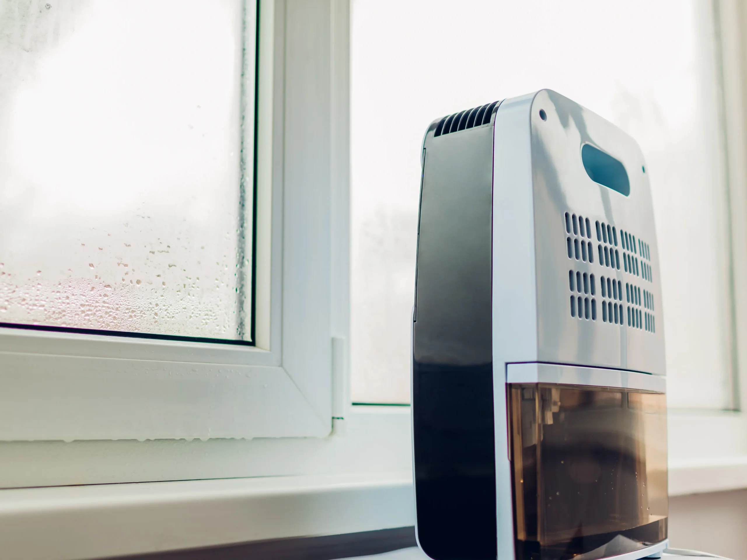 basement dehumidifier next to window