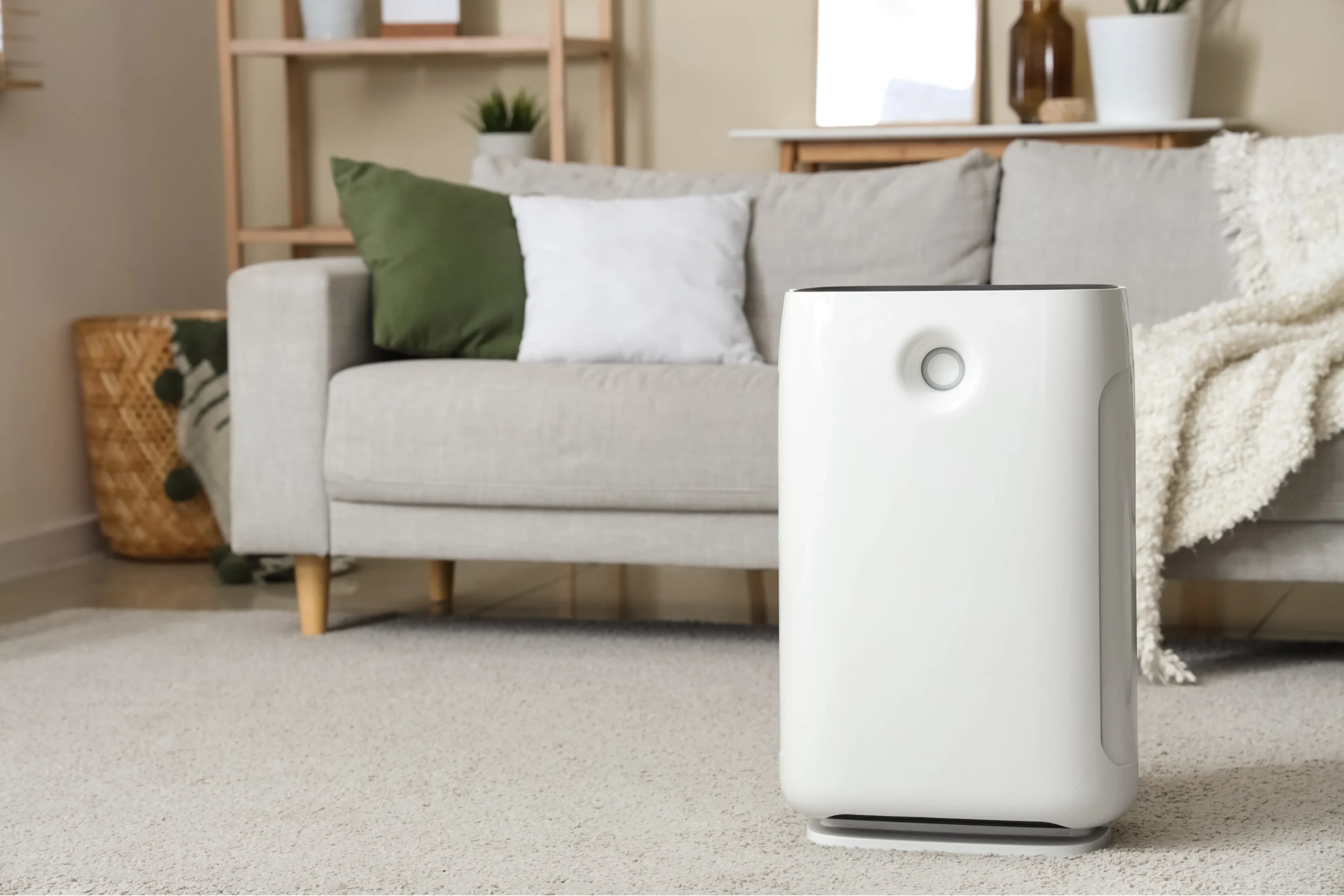 air purifier in home
